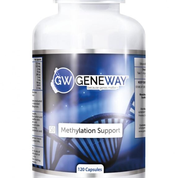 Geneway Methylation A 3D Geneway Methylation A 3D