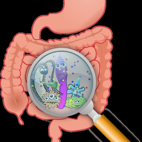 anatomy, bacteria, bacterium-160524 anatomy, bacteria, bacterium